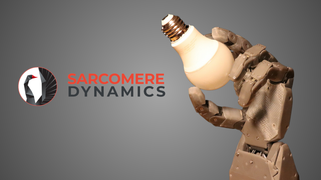 Sarcomere Dynamics Collaboration with BOW